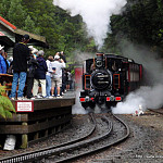 Thumbnail Photo for the Wilderness Railway Gallery.